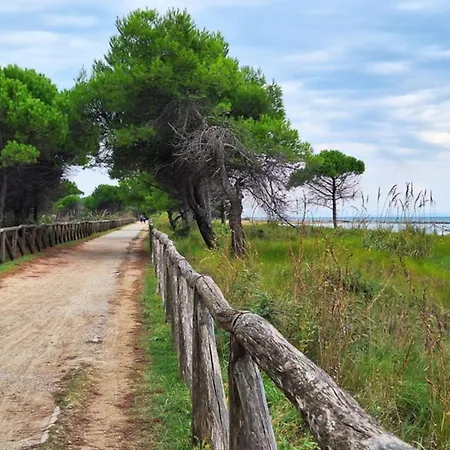 Colorful Attic With Terrace-beahost Apartament *